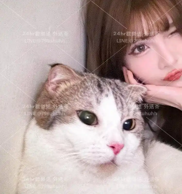 飛飛